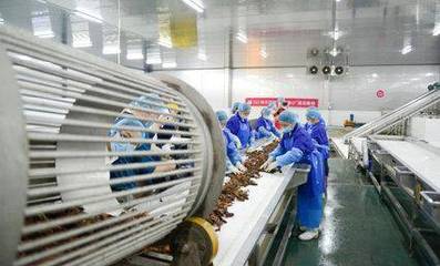 科技賦能鮮味體驗 每日優鮮小龍蝦節開啟，超聲技術驅動生鮮開發新篇章